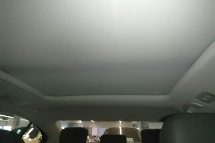 Used Volkswagen Magotan 2019 330TSI DSG Leading Edition China V Standard Headliner