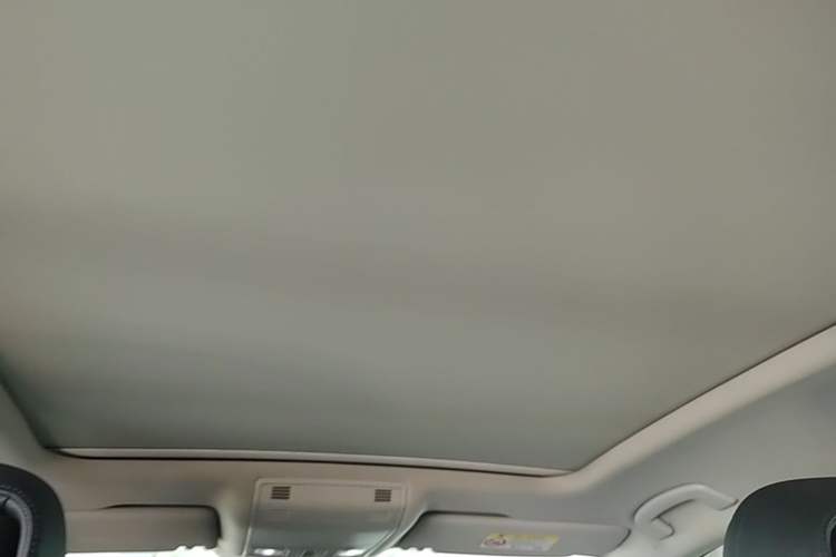 Used Volkswagen Magotan 2019 330TSI DSG Leading Model China VI Standard Headliner