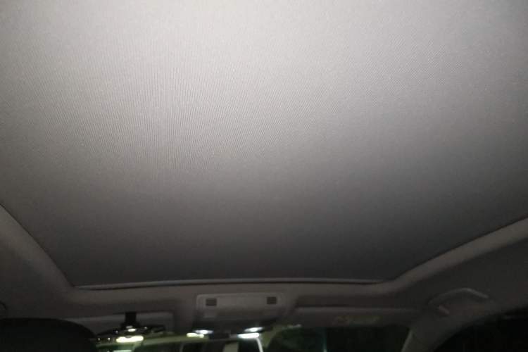 Used Volkswagen Magotan 2019 330TSI DSG Leading Model China VI Standard Headliner