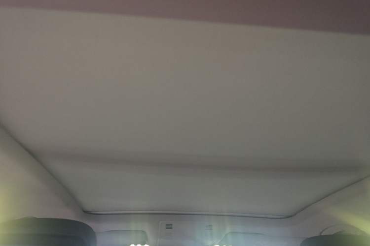 Used Volkswagen Magotan 2019 330TSI DSG Luxury Version China VI Standard Headliner