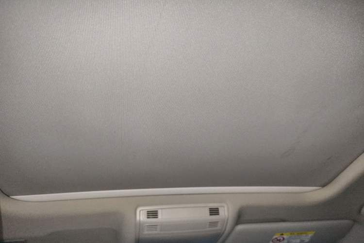 Used Volkswagen Magotan 2019 330TSI DSG Luxury Model China V Standard Headliner