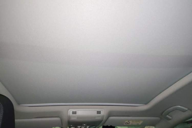 Used Volkswagen Magotan 2019 330TSI DSG Luxury Version China VI Standard Headliner