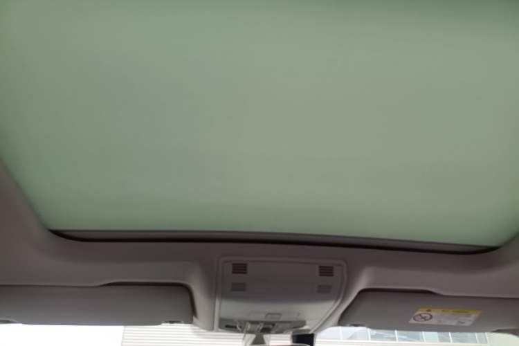 Used Volkswagen Magotan 2019 330TSI DSG Luxury Model China V Standard Headliner