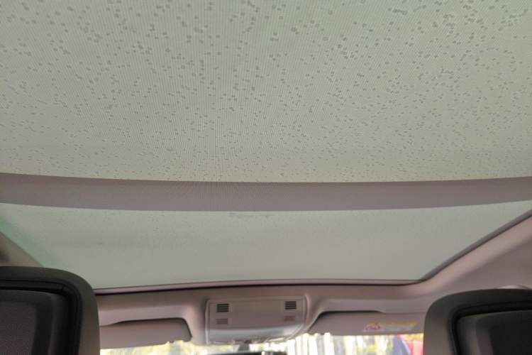 Used Volkswagen Magotan 2019 330TSI DSG Luxury Model China V Standard Headliner