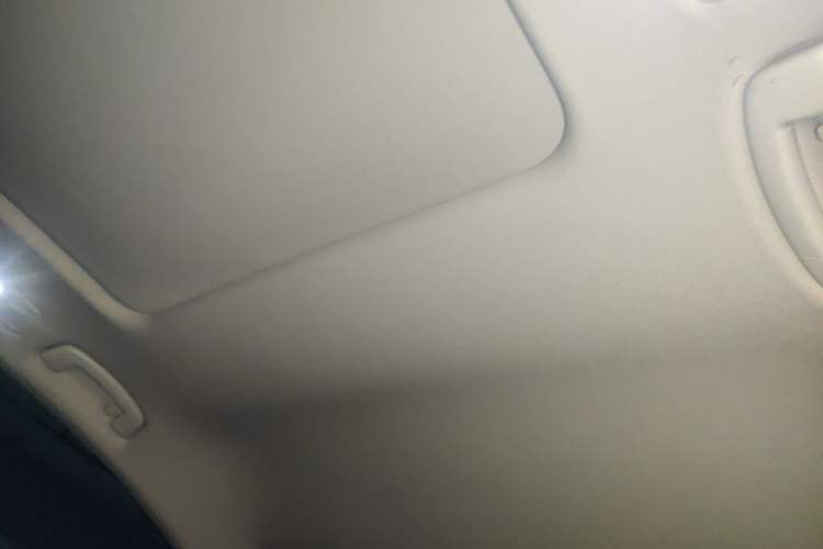 Used Volkswagen Magotan 2019 330TSI DSG Luxury Version China VI Standard Headliner