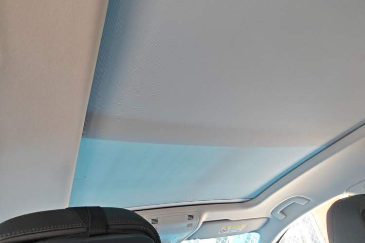 Used Volkswagen Magotan 2019 330TSI DSG Luxury Version China VI Standard Headliner