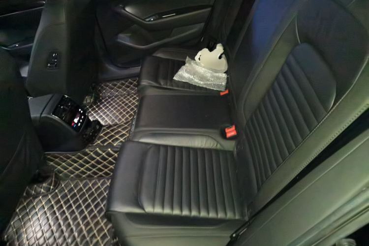 Used Volkswagen Magotan 2019 330TSI DSG Luxury Version China VI Standard Left Rear Seat