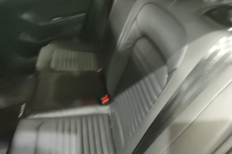 Used Volkswagen Magotan 2019 330TSI DSG Luxury Version China VI Standard Left Rear Seat