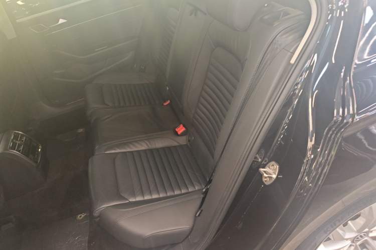 Used Volkswagen Magotan 2019 330TSI DSG Luxury Version China VI Standard Left Rear Seat