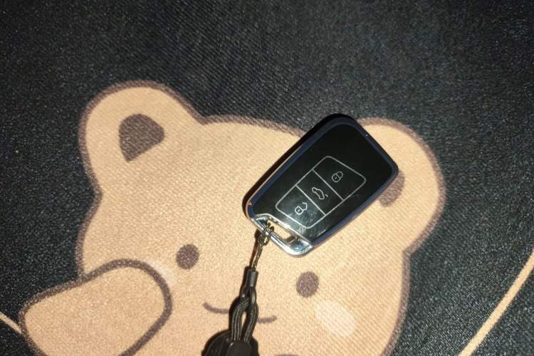 Used Volkswagen Magotan 2019 330TSI DSG Leading Model China VI Standard Vehicle Key