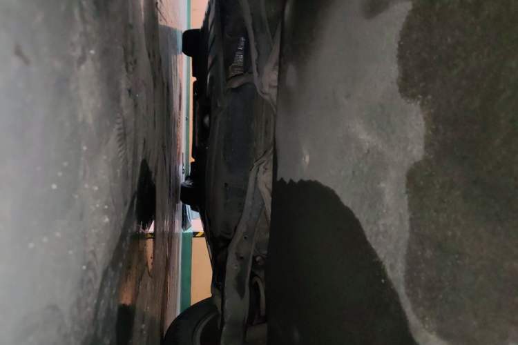 Used Volkswagen Magotan 2019 280TSI DSG Comfort Model China V Standard Chassis Rear