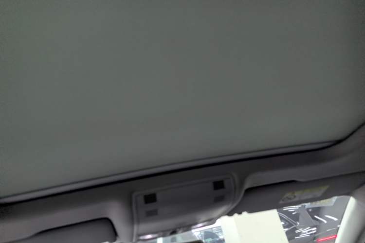 Used Volkswagen Magotan 2019 330TSI DSG Leading Edition China V Standard Headliner