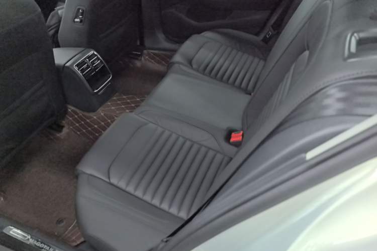 Used Volkswagen Magotan 2019 330TSI DSG Leading Edition China V Standard Left Rear Seat