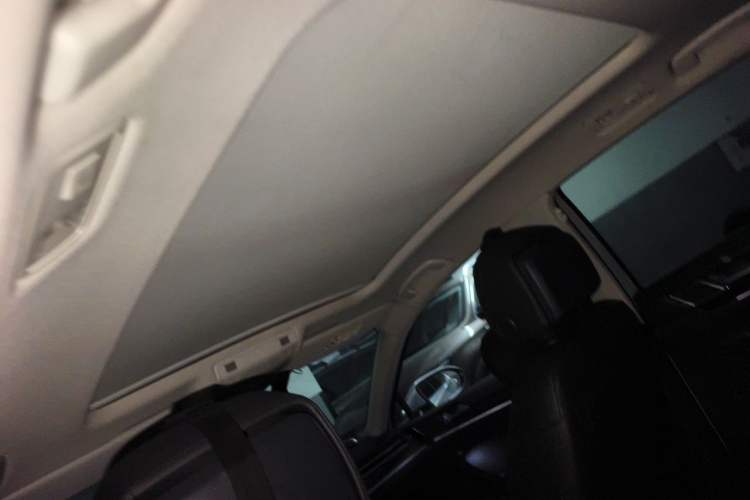 Used Volkswagen Magotan 2019 330TSI DSG Luxury Model China V Standard Headliner