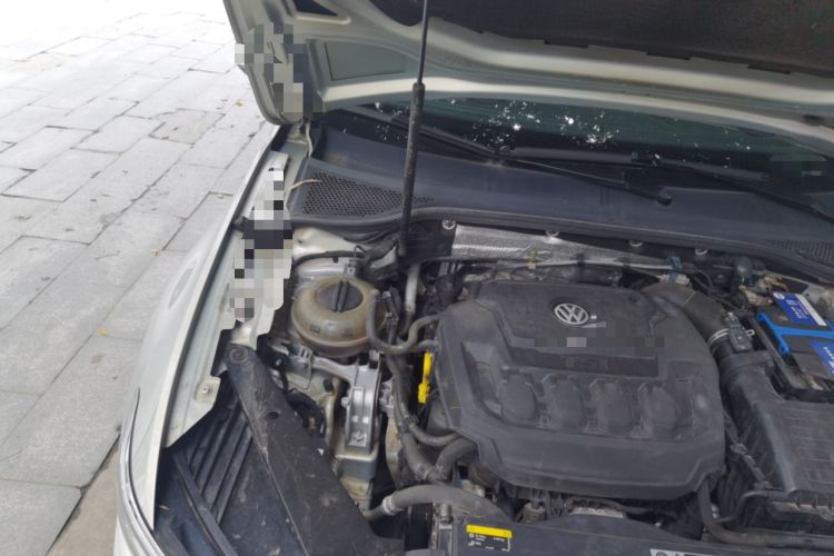 Used Volkswagen Magotan 2019 330TSI DSG Luxury Model China V Standard Engine Bay Right