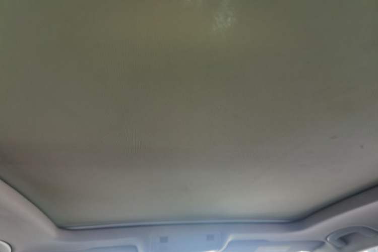 Used Volkswagen Magotan 2019 330TSI DSG Luxury Model China V Standard Headliner