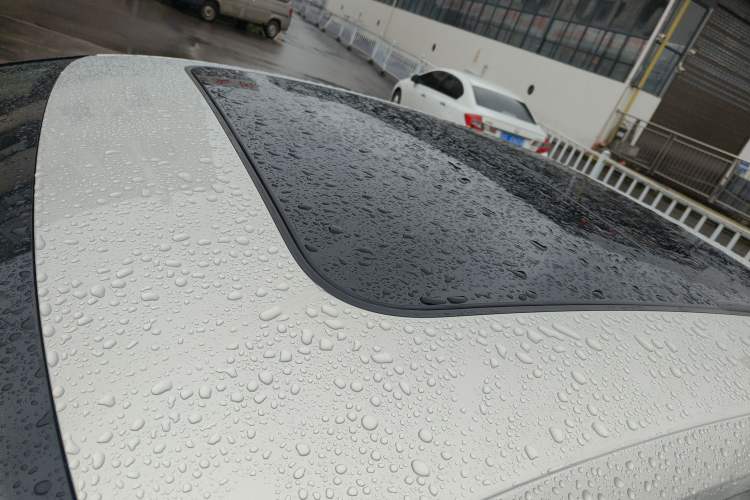 Used Volkswagen Magotan 2019 330TSI DSG Leading Model China VI Standard Roof