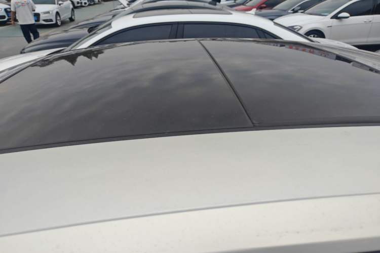 Used Volkswagen Magotan 2019 330TSI DSG Luxury Version China VI Standard Roof