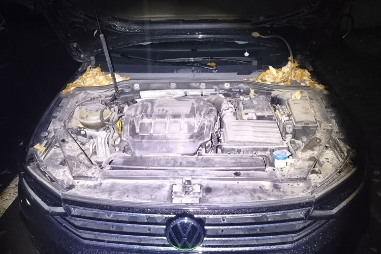 Used Volkswagen Magotan 2020 330TSI DSG Luxury Edition Engine Bay