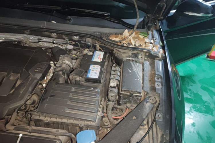 Used Volkswagen Magotan 2020 330TSI DSG Leading Model Engine Bay Left