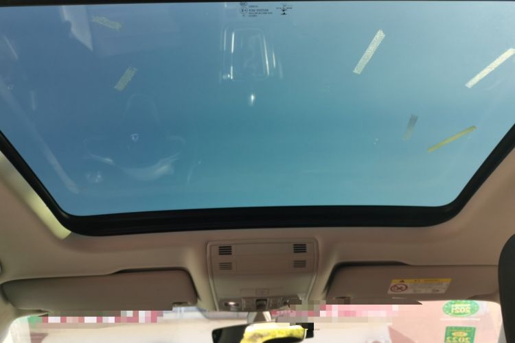 Used Volkswagen Magotan 2020 330TSI DSG Luxury Edition Headliner