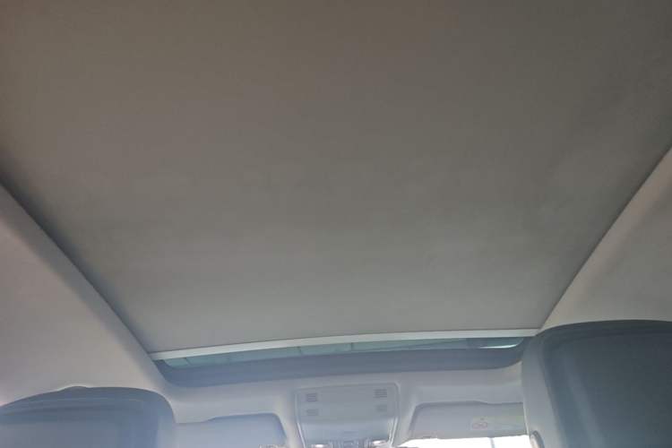 Used Volkswagen Magotan 2020 330TSI DSG Luxury Edition Headliner
