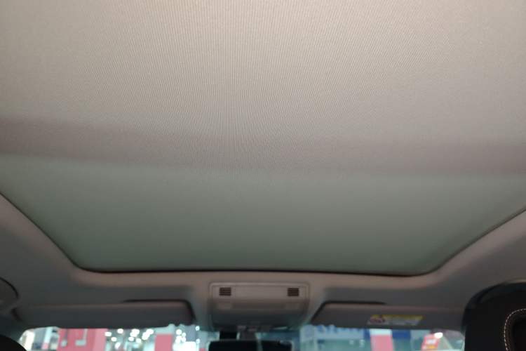 Used Volkswagen Magotan 2020 330TSI DSG Luxury Edition Headliner
