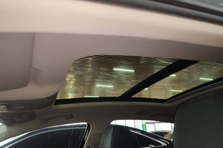 Used Volkswagen Magotan 2020 330TSI DSG Luxury Edition Headliner