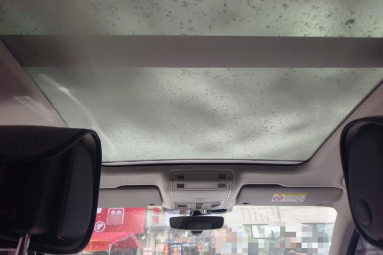 Used Volkswagen Magotan 2020 330TSI DSG Luxury Edition Headliner