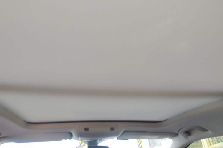 Used Volkswagen Magotan 2020 380TSI DSG Luxury Version Headliner