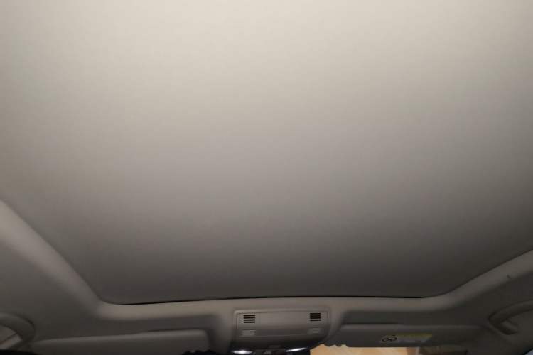 Used Volkswagen Magotan 2020 330TSI DSG Luxury Edition Headliner