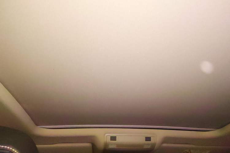 Used Volkswagen Magotan 2020 330TSI DSG Luxury Edition Headliner