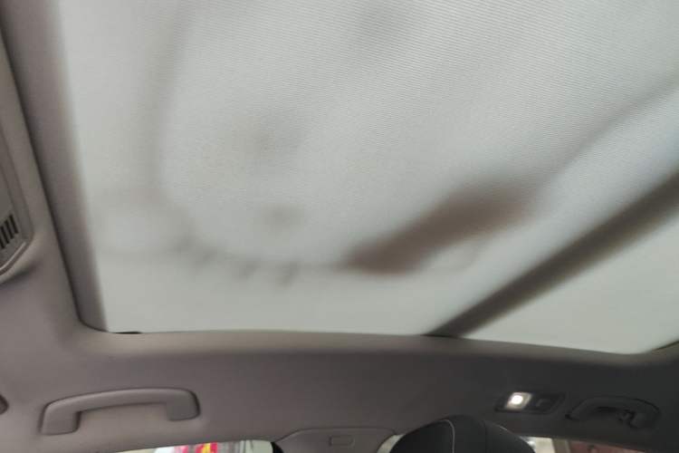 Used Volkswagen Magotan 2020 330TSI DSG Luxury Edition Headliner
