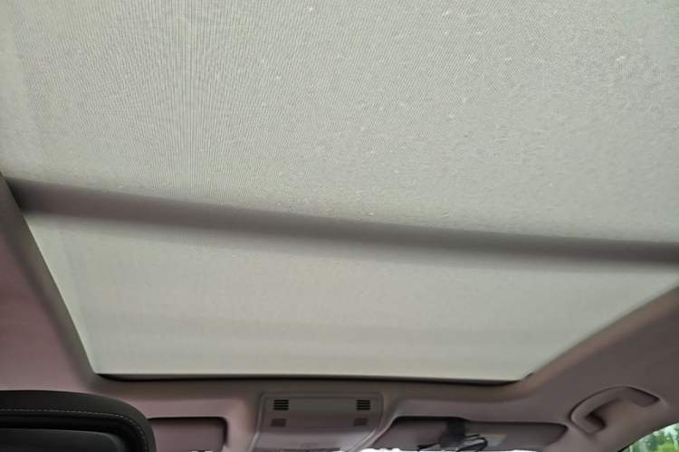 Used Volkswagen Magotan 2020 330TSI DSG Luxury Edition Headliner