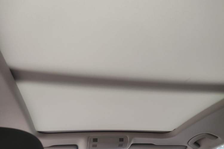Used Volkswagen Magotan 2020 330TSI DSG Luxury Edition Headliner