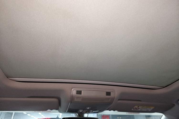 Used Volkswagen Magotan 2020 330TSI DSG Luxury Edition Headliner