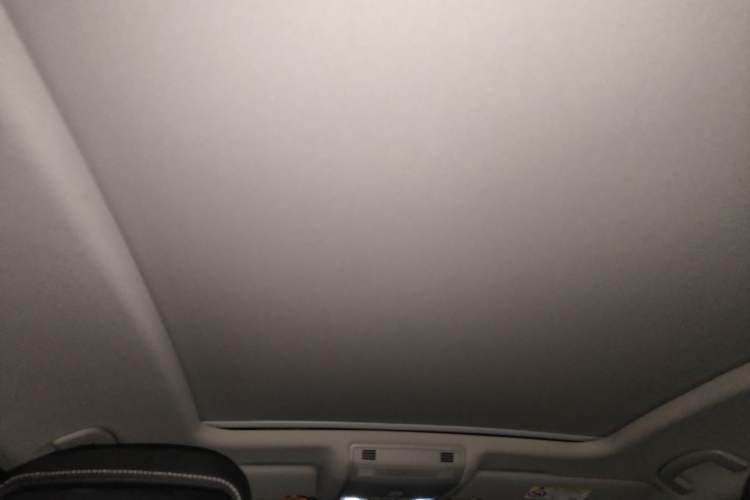 Used Volkswagen Magotan 2020 330TSI DSG Luxury Edition Headliner