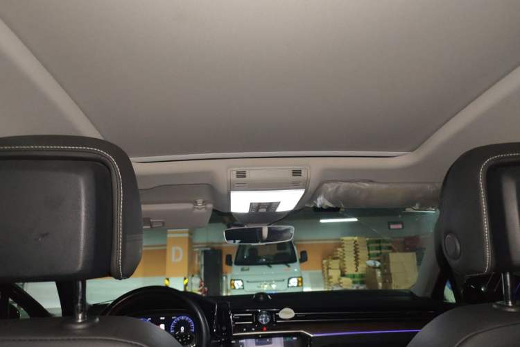 Used Volkswagen Magotan 2020 330TSI DSG Luxury Edition Headliner