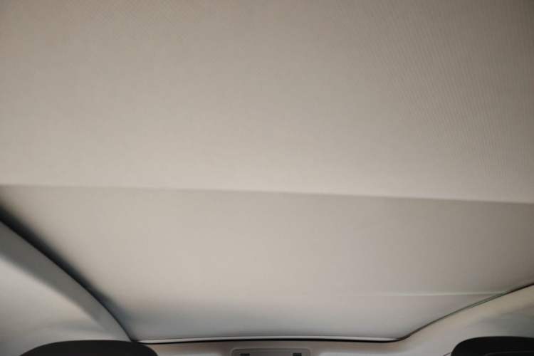 Used Volkswagen Magotan 2020 330TSI DSG Luxury Edition Headliner