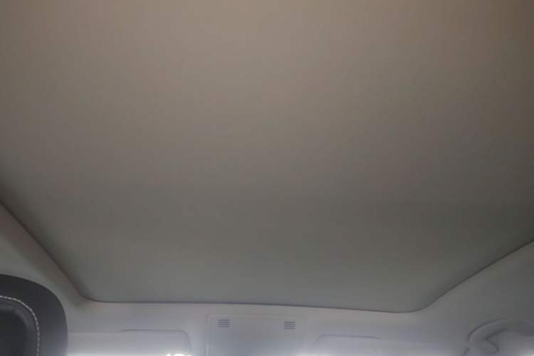 Used Volkswagen Magotan 2020 330TSI DSG Luxury Edition Headliner