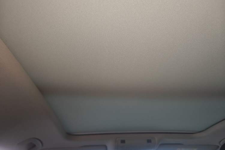Used Volkswagen Magotan 2020 330TSI DSG Luxury Edition Headliner
