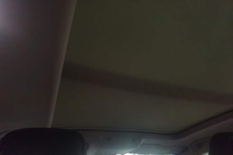 Used Volkswagen Magotan 2020 330TSI DSG Luxury Edition Headliner