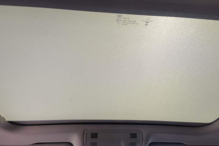 Used Volkswagen Magotan 2020 330TSI DSG Luxury Edition Headliner