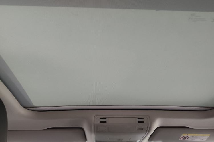 Used Volkswagen Magotan 2020 330TSI DSG Luxury Edition Headliner