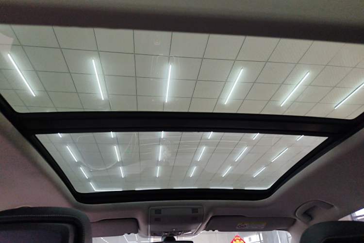 Used Volkswagen Magotan 2020 330TSI DSG Luxury Edition Headliner