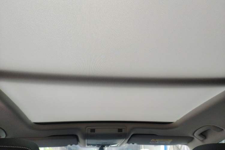 Used Volkswagen Magotan 2020 330TSI DSG Luxury Edition Headliner