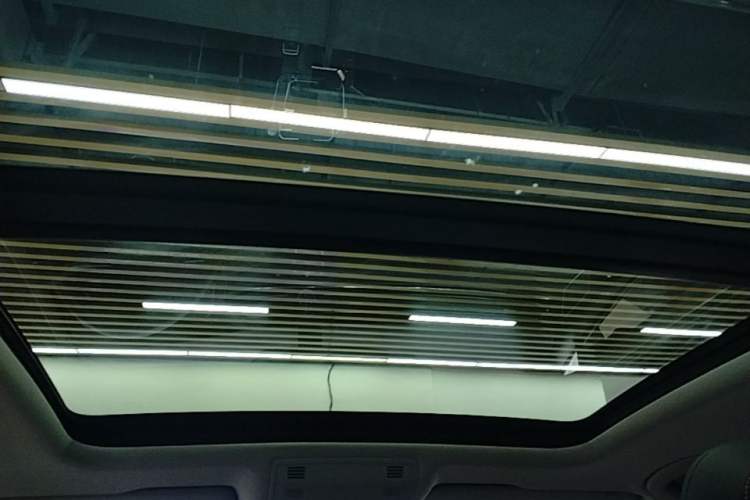 Used Volkswagen Magotan 2020 330TSI DSG Luxury Edition Headliner
