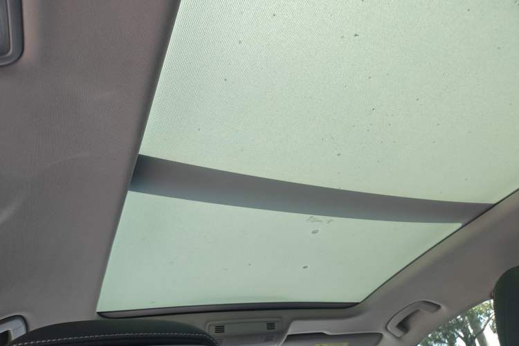 Used Volkswagen Magotan 2020 330TSI DSG Luxury Edition Headliner