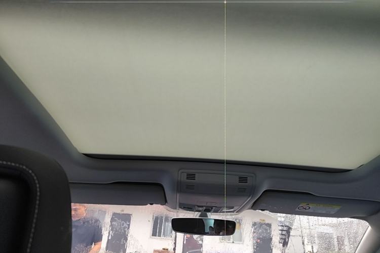 Used Volkswagen Magotan 2020 330TSI DSG Luxury Edition Headliner