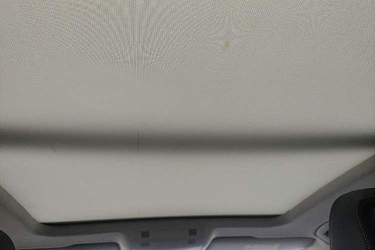 Used Volkswagen Magotan 2020 330TSI DSG Luxury Edition Headliner